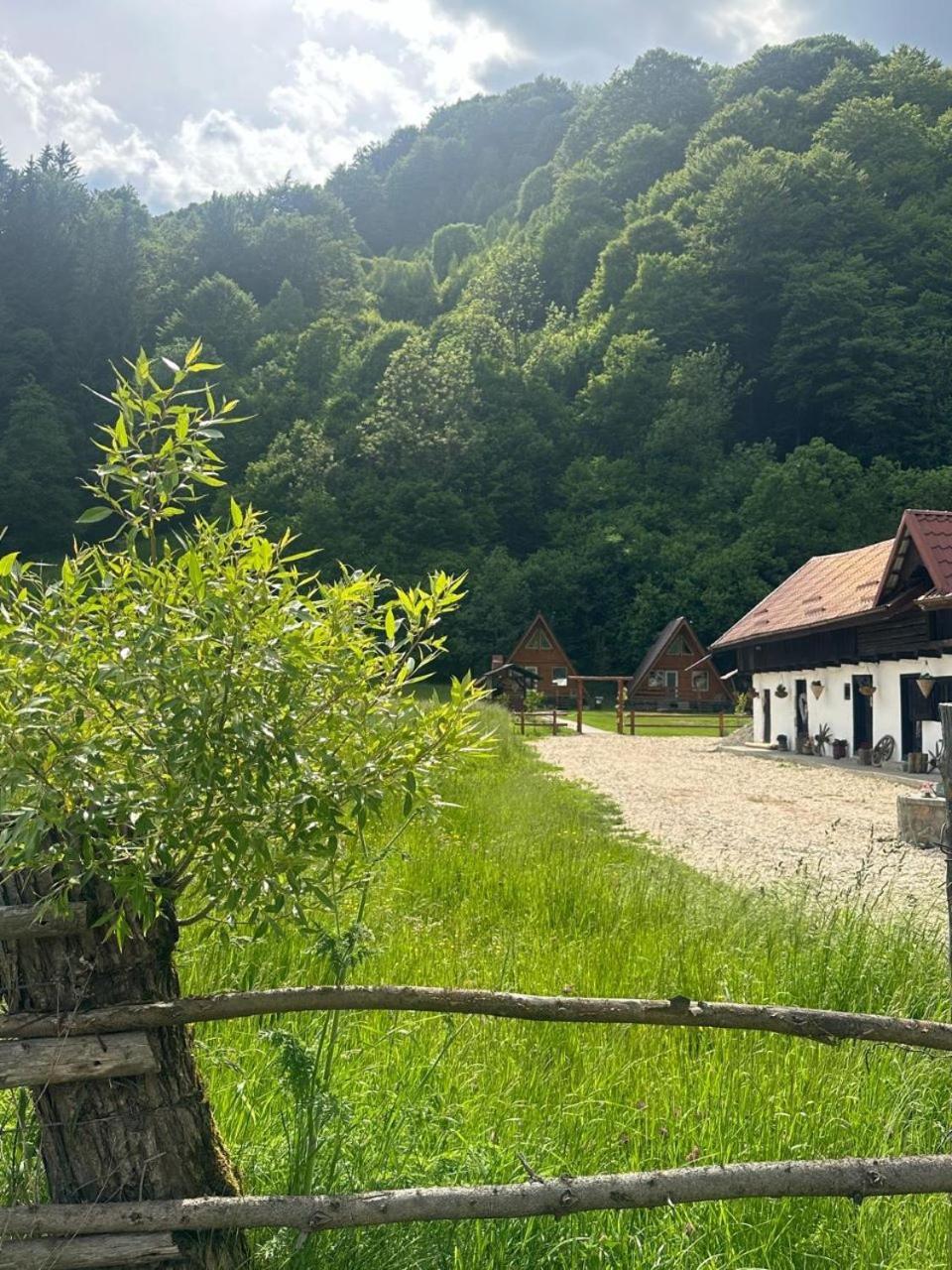 Cabanutze Satic Villa Rucar  Exterior photo
