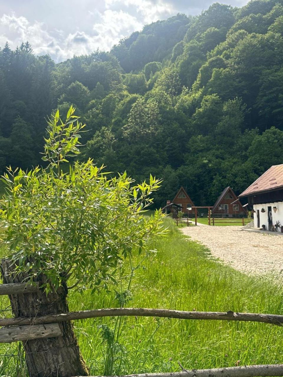 Cabanutze Satic Villa Rucar  Exterior photo