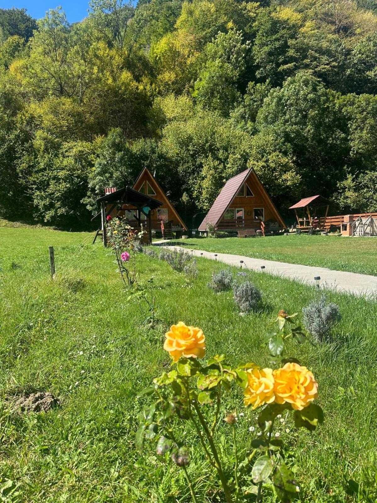 Cabanutze Satic Villa Rucar  Exterior photo